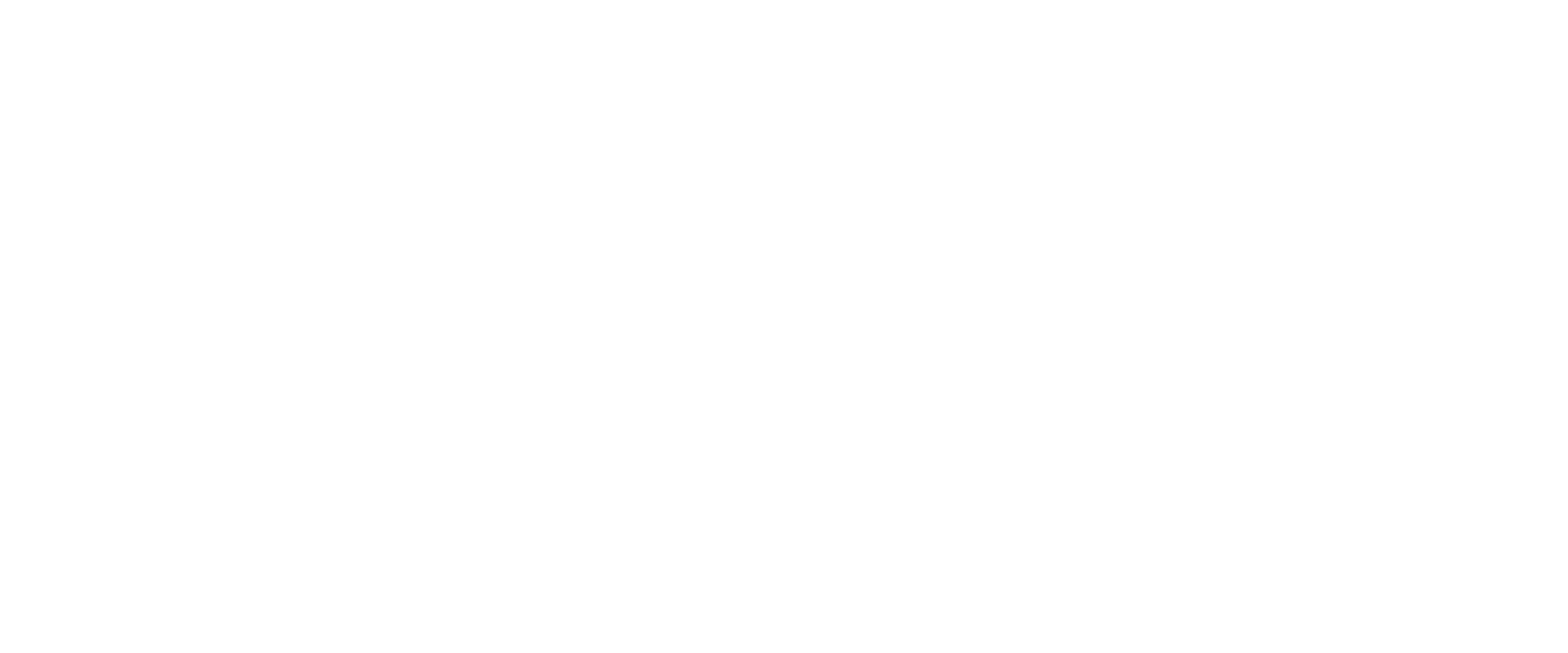 E-Waste Security logo